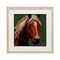 Stupell Industries Modern Horse on Green Framed Print Under Glass, design by Wani Pasion